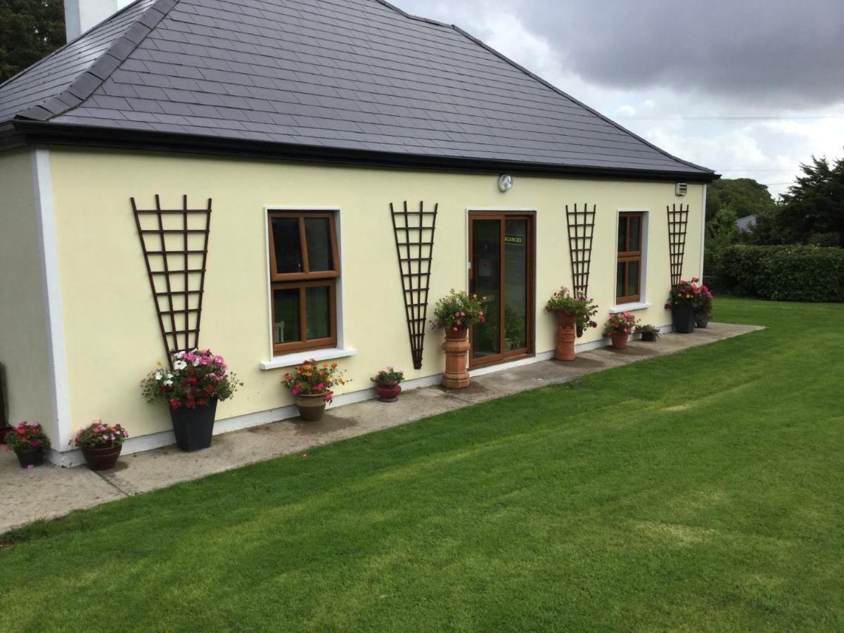Rose Cottage Westport Exterior photo